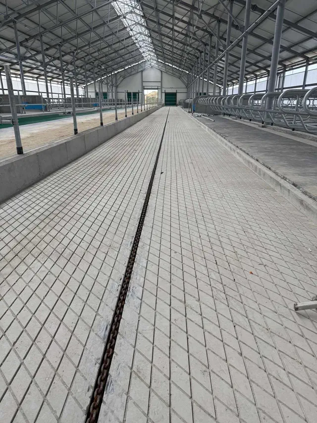 Photo report: mechanical concrete floor treatment, photo 1