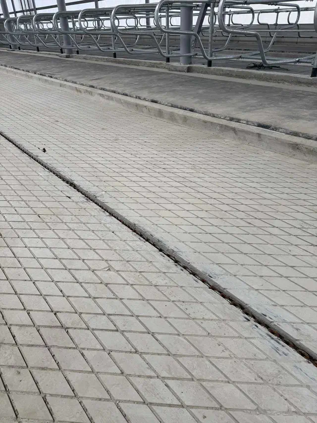 Photo report: mechanical concrete floor treatment, photo 2