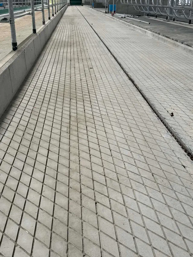 Photo report: mechanical concrete floor treatment, photo 3